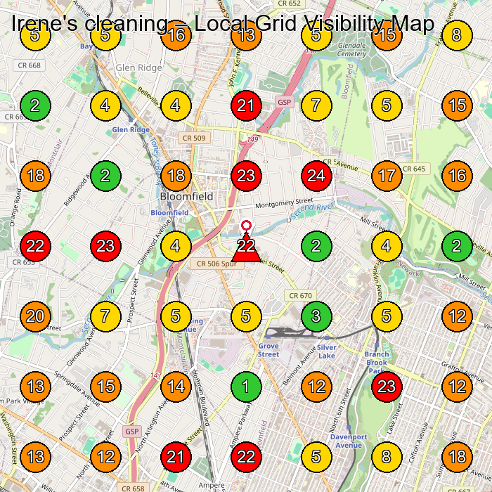 Irene's cleaning House Cleaning Service GeoGrid ranking map for None